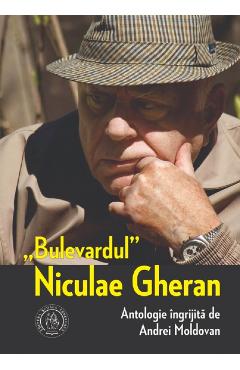 Bulevardul Niculae Gheran - Andrei Moldovan