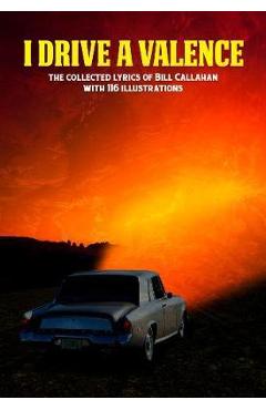 Bill Callahan: I Drive A Valence - Bill Callahan