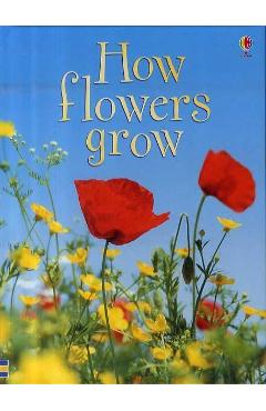 How Flowers Grow -