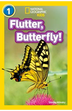 Flutter, Butterfly! -