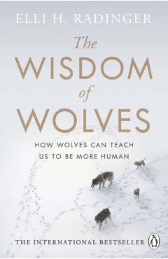 Wisdom of Wolves - Elli H Radinger - Imagine 1