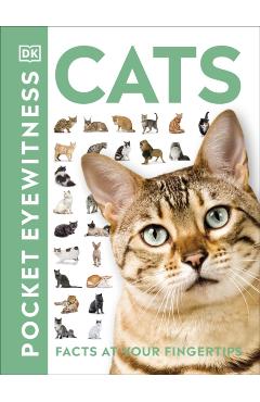 Cats -