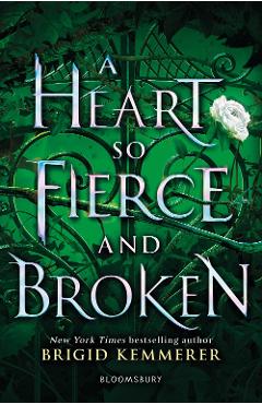 Heart So Fierce and Broken - Brigid Kemmerer