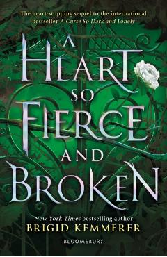 Heart So Fierce and Broken - Brigid Kemmerer