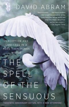 Spell Of The Sensuous - David Abram
