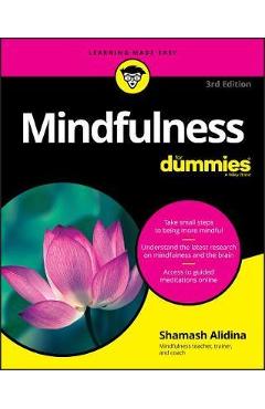 Mindfulness For Dummies - Shamash Alidina