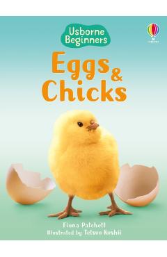 Eggs and Chicks -