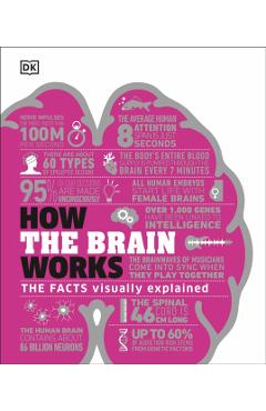 How the Brain Works -