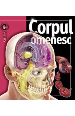 Corpul omenesc. Insiders - Linda Calabresi