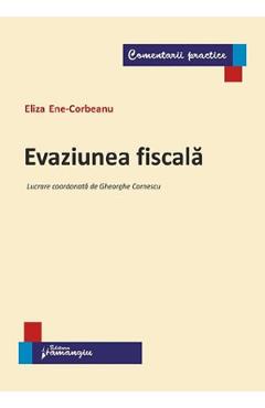 Evaziunea fiscala - Eliza Ene-Corbeanu