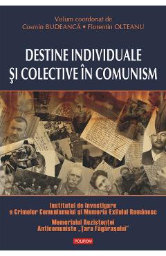 eBook Destine individuale si colective in comunism - Florentin Olteanu
