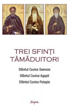 Trei sfinti tamaduitori: Sfantul Samson, Sfantul Agapit, Sfantul Patapie - SOPHIA