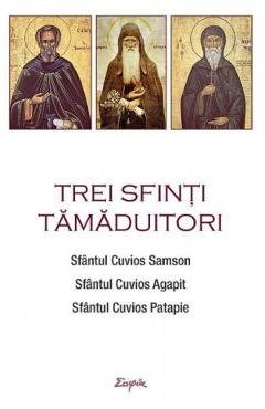 Trei sfinti tamaduitori: Sfantul Samson, Sfantul Agapit, Sfantul Patapie