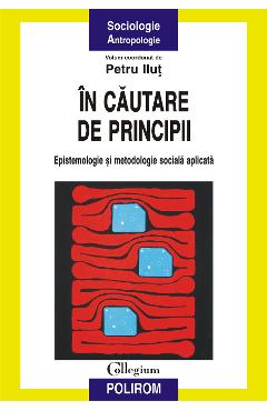 eBook in cautare de principii. Epistemologie si metodologie sociala aplicata - Petru (coord.) Ilut