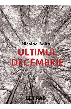 Ultimul decembrie- Nicolae Balta - LETRAS