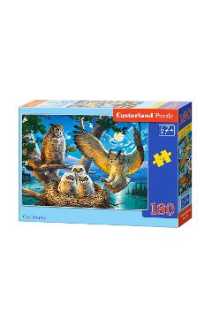 Puzzle 180. Owl Family