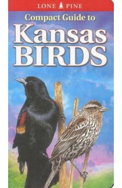 Compact Guide to Kansas Birds - Ted Cable