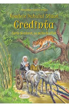 Roadele Duhului Sfant Vol.4: Credinta - Amalia Dragne