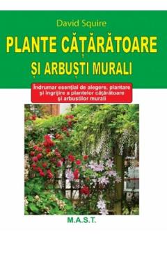Plante cataratoare si arbusti murali – David Squire Arbusti