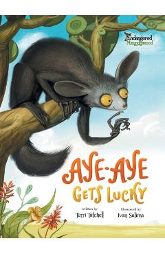 Aye-Aye Gets Lucky - Terri Tatchell - Imagine 1