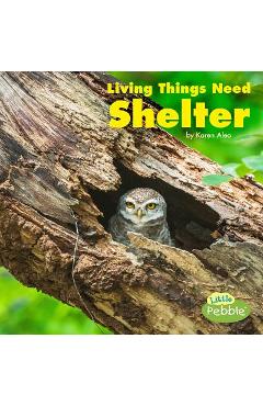Living Things Need Shelter - Karen Aleo
