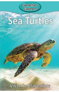 Sea Turtles - Victoria Blakemore
