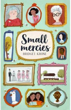 Small Mercies - Bridget Krone