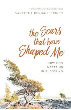 The Scars That Have Shaped Me: How God Meets Us in Suffering - Vaneetha Rendall Risner