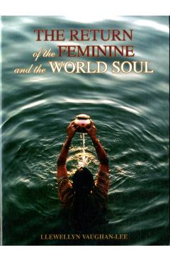 The Return of the Feminine & the World Soul - Llewellyn Vaughan-lee