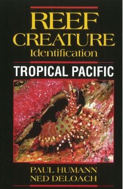 Tropical Pacific - Paul H. Humann