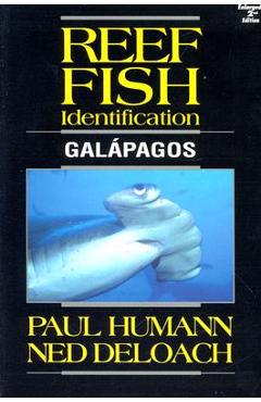 Reef Fish Identification Galapagos - Ned Deloach