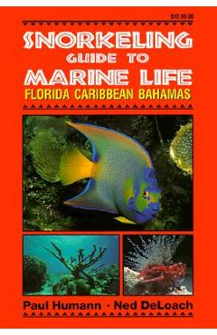 Snorkeling Guide to Marine Life Florida, Caribbean, Bahamas - Paul Humann