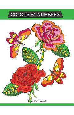 Colour by Numbers: Large Print Colour By Number Butterflies, Birds, and Flowers Adult Colouring Book - Sujatha Lalgudi