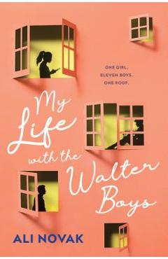 My Life with the Walter Boys - Ali Novak