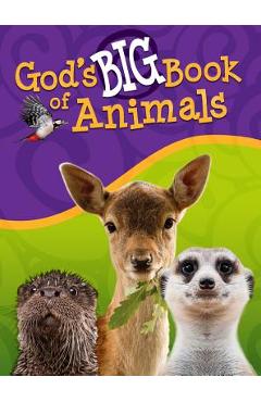 God\'s Big Book of Animals - Orit Kashtan