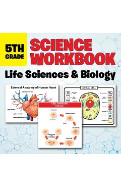 5th Grade Science Workbook: Life Sciences & Biology
