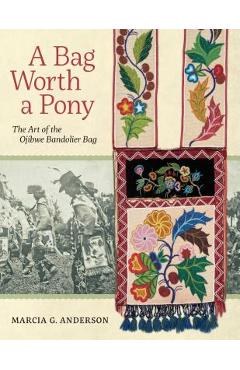 A Bag Worth a Pony: The Art of the Ojibwe Bandolier Bag - Marcia G. Anderson
