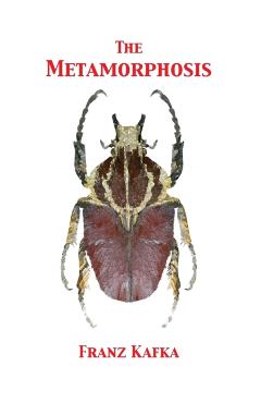 The Metamorphosis - Franz Kafka