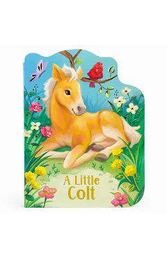 A Little Colt - Rosalee Wren