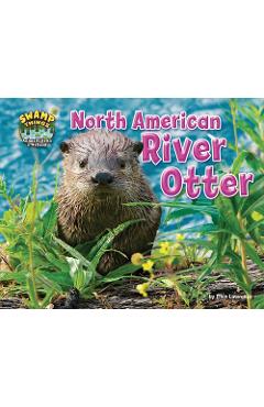 North American River Otter - Ellen Lawrence