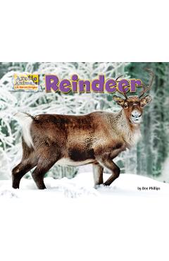 Reindeer - Dee Phillips