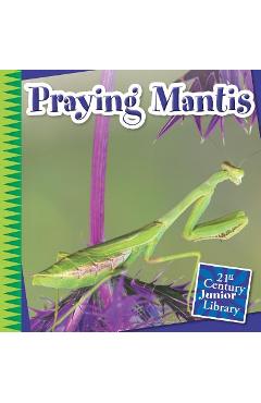 Praying Mantis - Tamra Orr