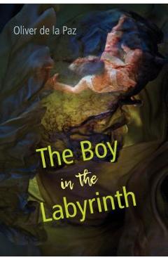 The Boy in the Labyrinth: Poems - Oliver De La Paz
