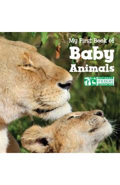 My First Book of Baby Animals - National Wildlife Federation