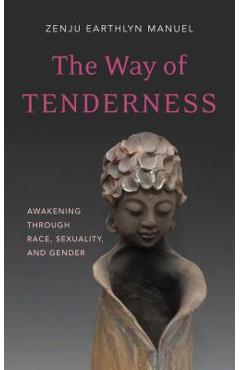 The Way of Tenderness: Awakening Through Race, Sexuality, and Gender - Zenju Earthlyn Manuel