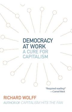 Democracy at Work: A Cure for Capitalism - Richard D. Wolff - Imagine 1