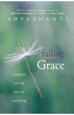 Falling Into Grace: Insights on the End of Suffering - Adyashanti