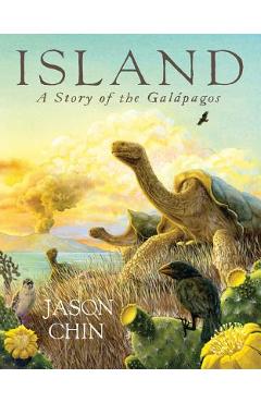 Island: A Story of the Gal�pagos - Jason Chin