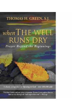 When the Well Runs Dry: Prayer Beyond the Beginnings - Thomas H. S. J. Green