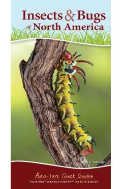 Insects & Bugs of North America: Your Way to Easily Identify Insects & Bugs
